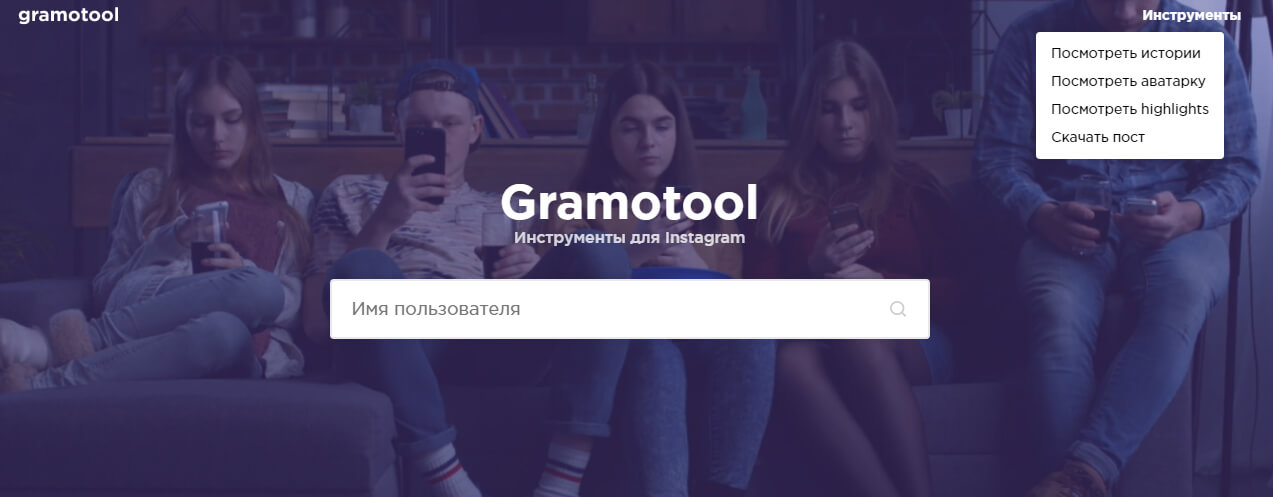 Интерфейс сервиса Gramotool