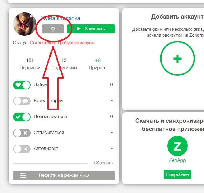 Начальная настройка Zengram.ru