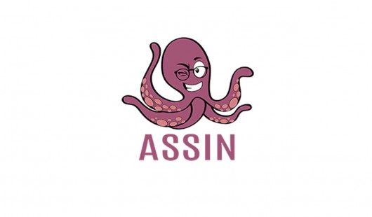 Assin Assin