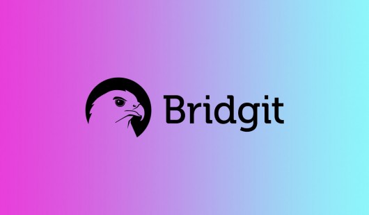 Bridgit Bridgit